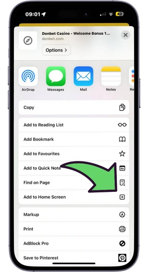 Pick Add to Home Screen option in Safari
